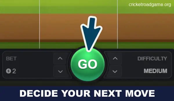 Continue playing Cricket Road India